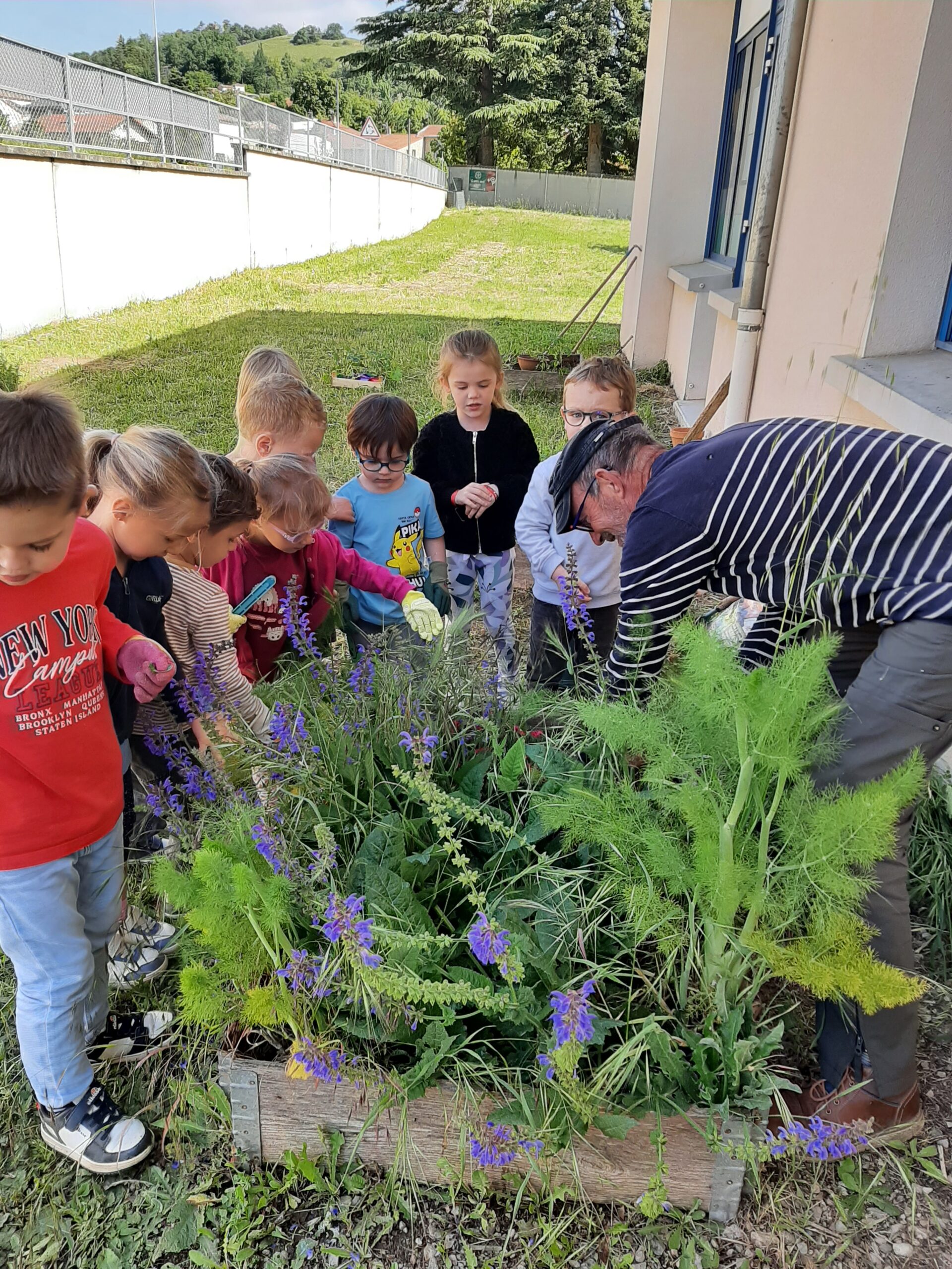 🌿 Séance de jardinage en Maternelle 🌼