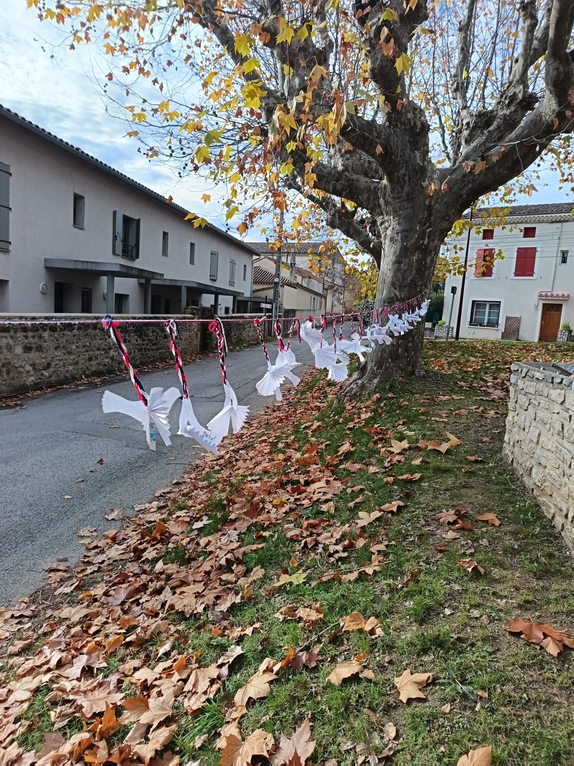 Commémoration du 11 Novembre : un moment de mémoire et de paix 🕊️🇫🇷
